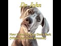 How Come My Dog Don't Bark when you come Around by Dr  John