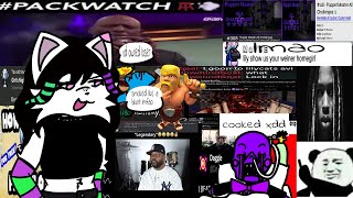 local furry girl curbstomps shadow vinnie for being mean to her (nerfed pmac completion, first mm)