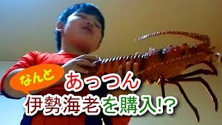 あっつん、伊勢海老を購入！？