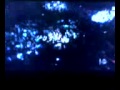 Pacquiao Vs Mosley Part 1 13 This Is Boxing Toprank HD