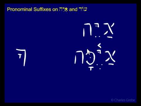 23.05   Pronominal Suffixes on Ayaih and Od