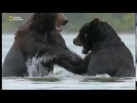 Nedotčený ráj Rusko