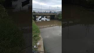 Download lagu mancing spot idaman #viralsong #sarangikannila #mancing #ikan mp3 Download lagu mancing spot idaman #viralsong #sarangikannila #mancing #ikan mp3