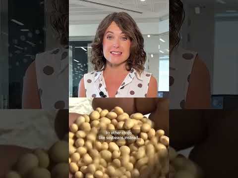 Video Thumbnail: Why the world could be heading for a wheat crisis