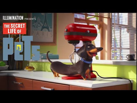 The Secret Life Of Pets | Meet Buddy (HD) | Illumination