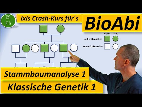 Stammbaumanalyse — dominant/rezessiv/autosomal/gonosomal