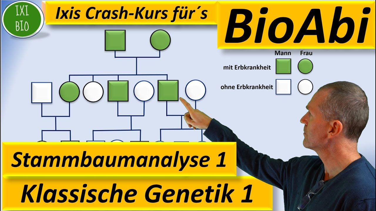 Klassische Genetik 1 Stammbaumanalyse 1 - dominant / rezessiver - autosomal / gonosomaler Erbgang