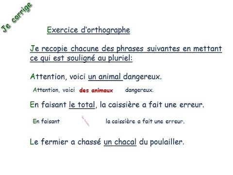 CE2 Corrigé de l'orthographe Le pluriel des noms en al