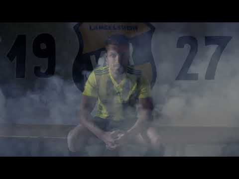 VfR Langelsheim Trailer