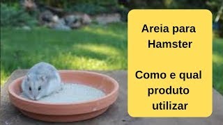 Vídeo de Areia para Hamster, Chinchila e Gerbil