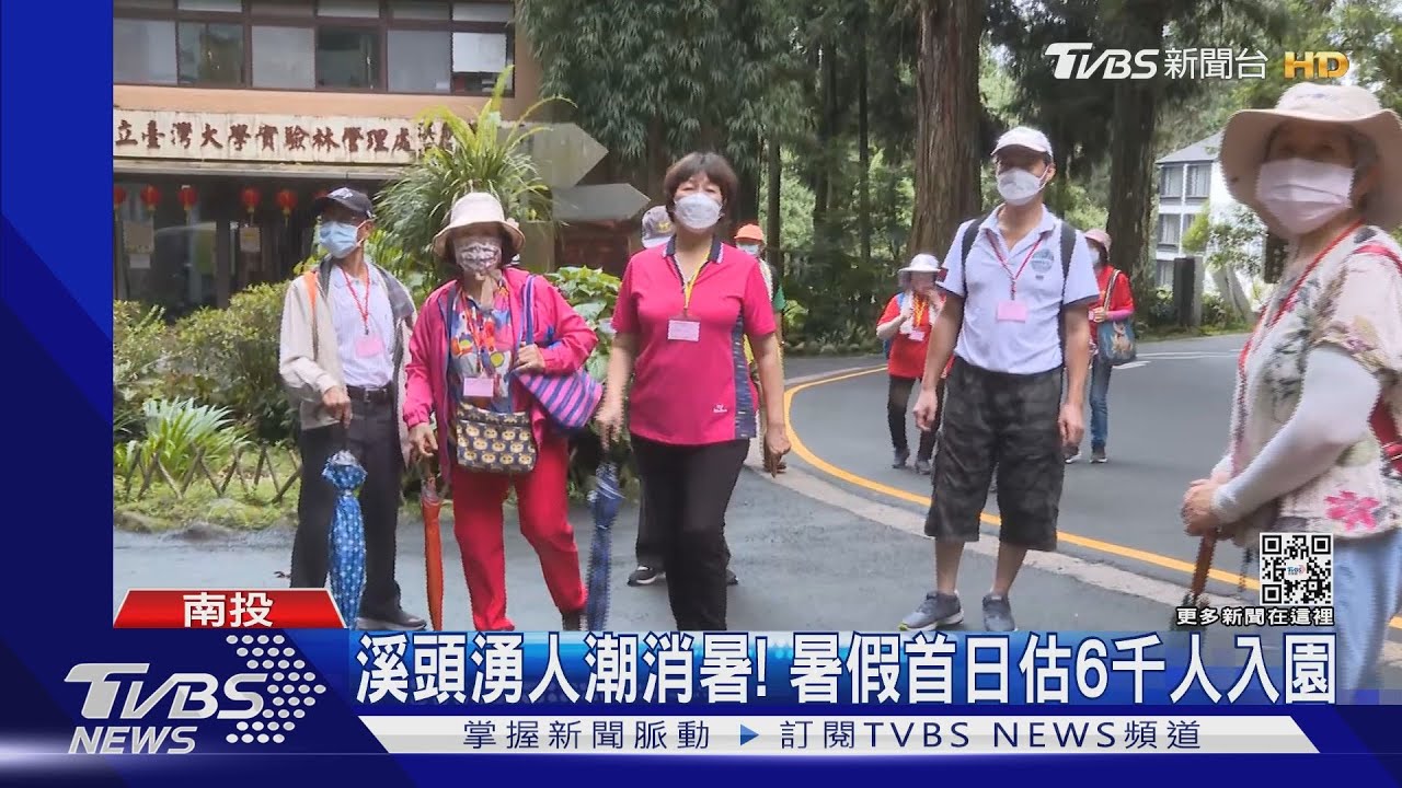 溪頭湧人潮消暑!暑假首日估6千人入園