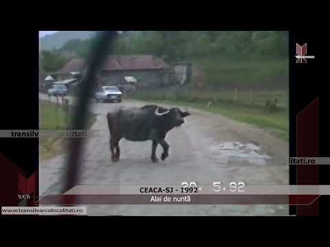 CEACA-SJ (1992) - Alai de nuntă