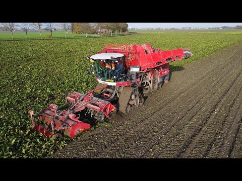 Agrifac Exxact OptiTraxx | Sugarbeet Harvest | Gilles | New Holland | 2022 | Bieten rooien