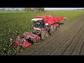 agrifac exxact optitraxx sugarbeet harvest gilles new holland 2022 bieten rooien