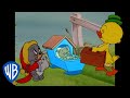 Tom Jerry Cutest Characters In Tom And Jerry Classic Cartoon Compilation Wbkids​