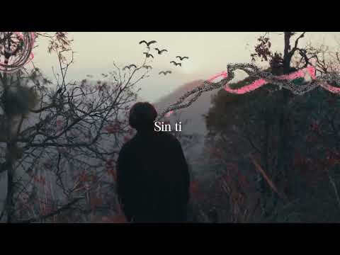 Wuicho kun & Mai Grc - DESTINO (Lyric Visualizer)