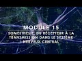 Somesthésie : Récepteurs Cutanés, Toucher et Douleur Expliqués