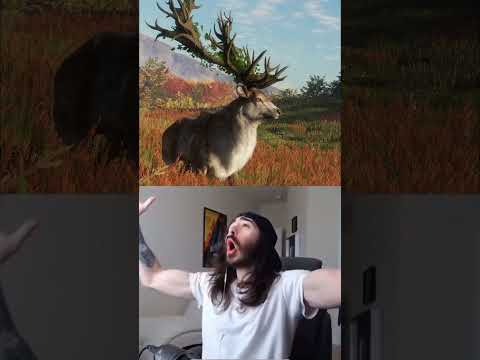 🐻 TheHunter: Call of the Wild GREAT ONES RATED #thehuntercallofthewild #callofthewild #thehunter