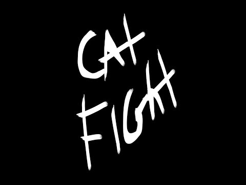 Cat Fight
