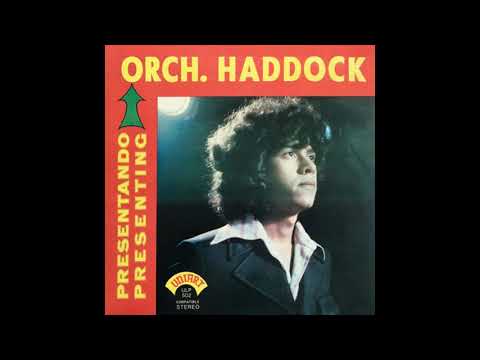Olvida Tus Pesares - Orchestra Haddock