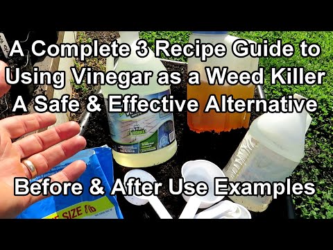 How to Use Vinegar as an Organic Garden Weed Killer: 3 Recipes, Different Strengths & Use Examples