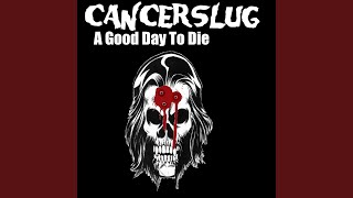 A Good Day To Die Music Video