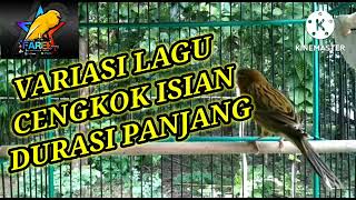 Download lagu Masteran Kenari gacor, isian blackthroat, sanger durasi panjang mp3
