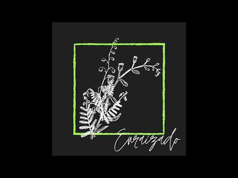 Enraizado video