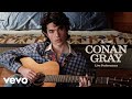 Conan Gray Actor Live Vevo Artist Portrait