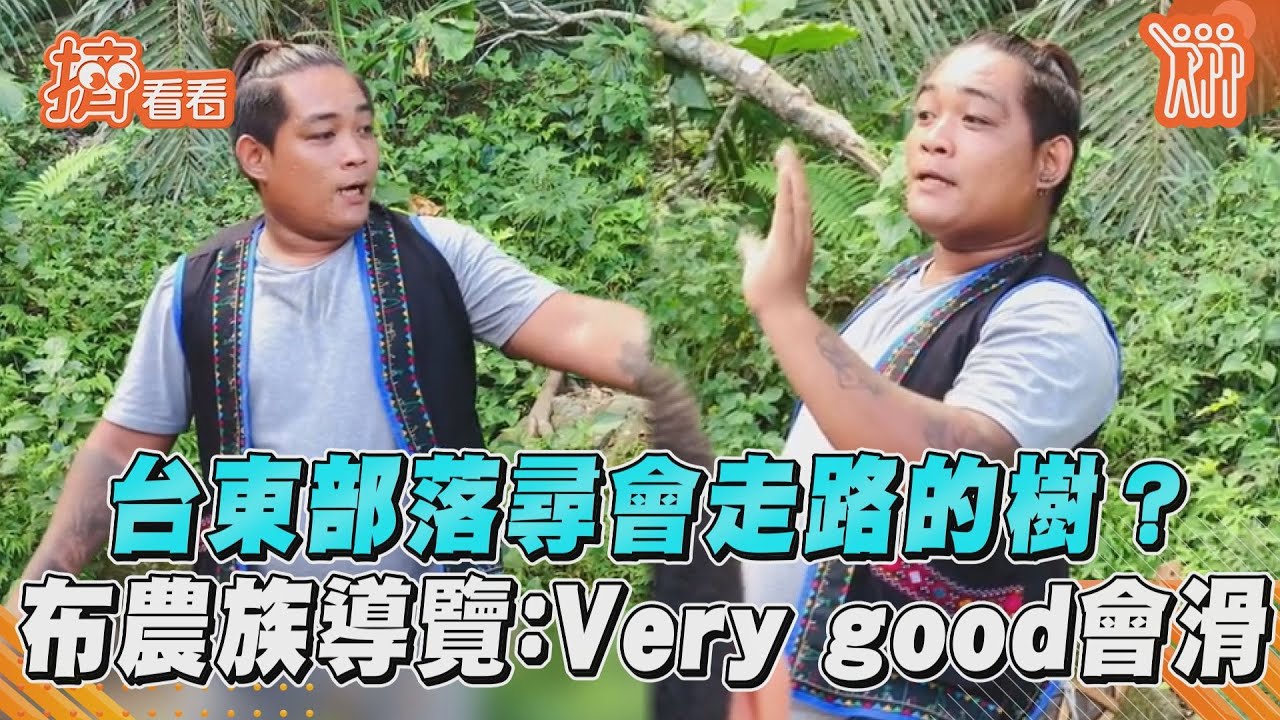 影音/台東部落尋會走路的樹? 布農族導覽:Very good會滑