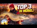 Top 3 Leurres Pour L Ouverture