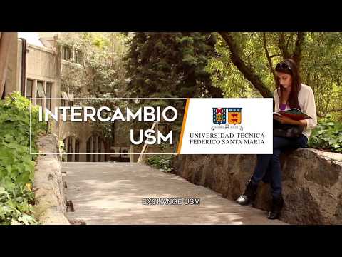 USM Exchange Experience