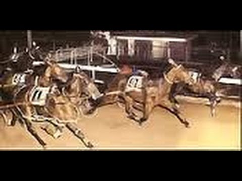 Harness Racing,Harold Park-02/03/1973 Inter-Dominion Grand Final (Hondo Grattan-A.D.Turnbull)