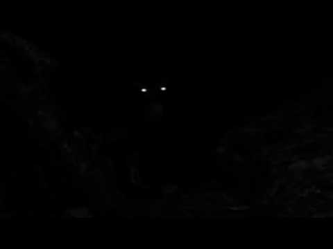 Let's Creep: Wenn du gelangweilt bist .[GermanCreepyPasta]