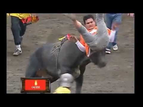 Mejor de Toros a la Tica - Zapote Costa Rica 2012-13