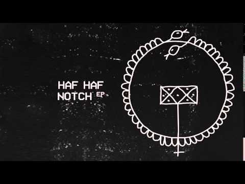 07 HAF HAF- Notch [Gang of Ducks]