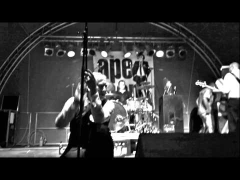 THE APEMEN - Comeback 2013