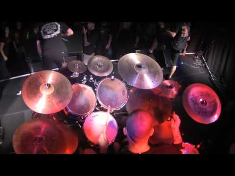 Cerebral Bore - 24 Year Party Dungeon - Live at 