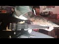 Screeching Weasel Cover MORE PROBLEMS 1987