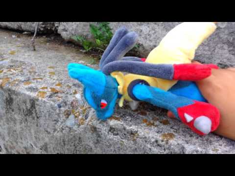 Pokemon Plush Adventures Season 1 Episode 1 - The Discovery