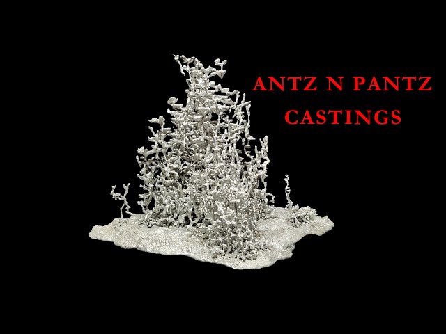 Look At This Massive Aluminum Ant Mound Casting // Texas Fire Ant Mound Sculpture // ASMR SDDEFAULT Thumbnail