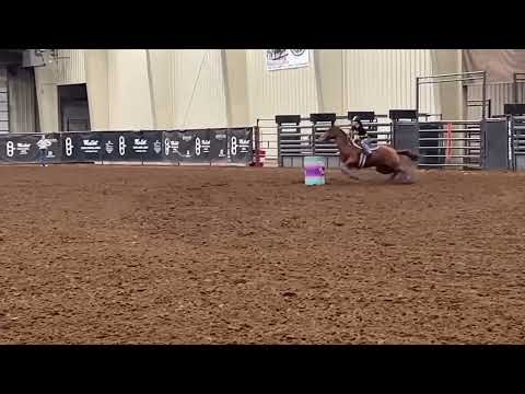 Mallet Event Ctr, Levelland Tx,  Arena Record, Tara Carr, 15.366, Tres Wrangler, 1/3/24