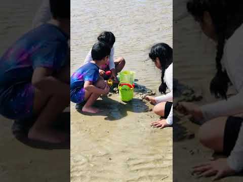 Arish play sea 🌊 beach 🏖