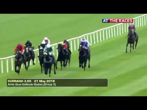 Platinum Warrior - Airlie Stud Gallinule Stakes (G3) 2.000 mts - Curragh - Irlanda