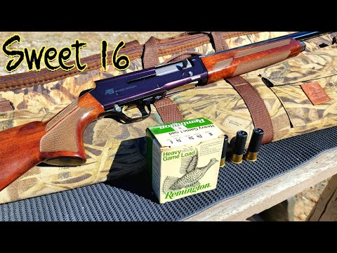 Browning Sweet Sixteen 16 Gauge Review \u0026 Shoot - Buck Bird \u0026 Slug