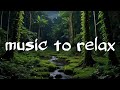 MIDNIGHT IN THE FOREST Meia Noite Na Floresta AMBIENT MUSIC Música Ambiente BY LIPY X
