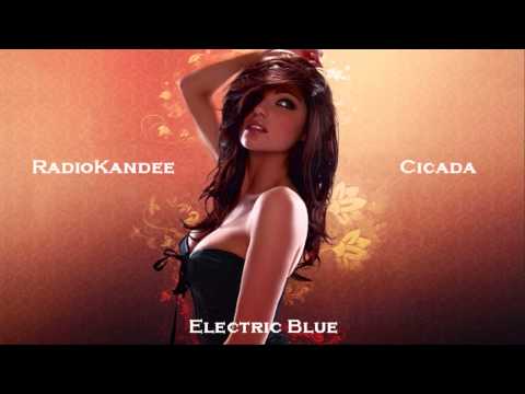 Cicada -  Electric Blue