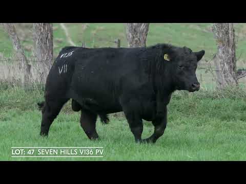 Lot 47  SEVEN HILLS V136 PV