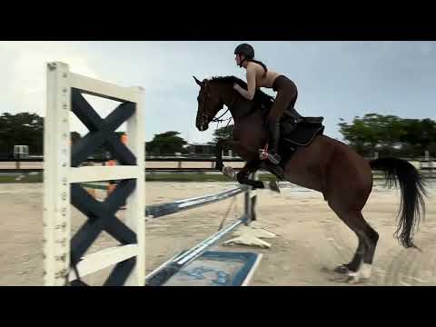 Luis Z video 2