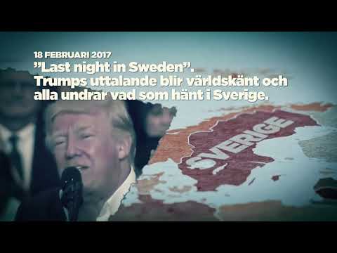 Så har Trump påverkat världen under ett år - Nyheterna (TV4)